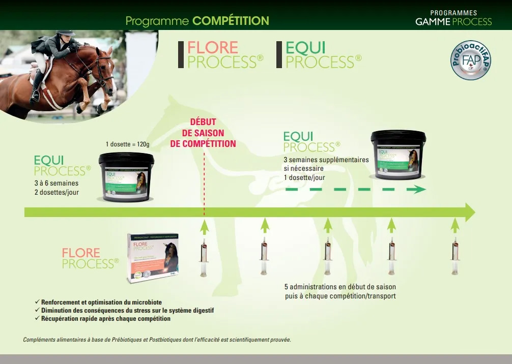 programme chevaux sport competition