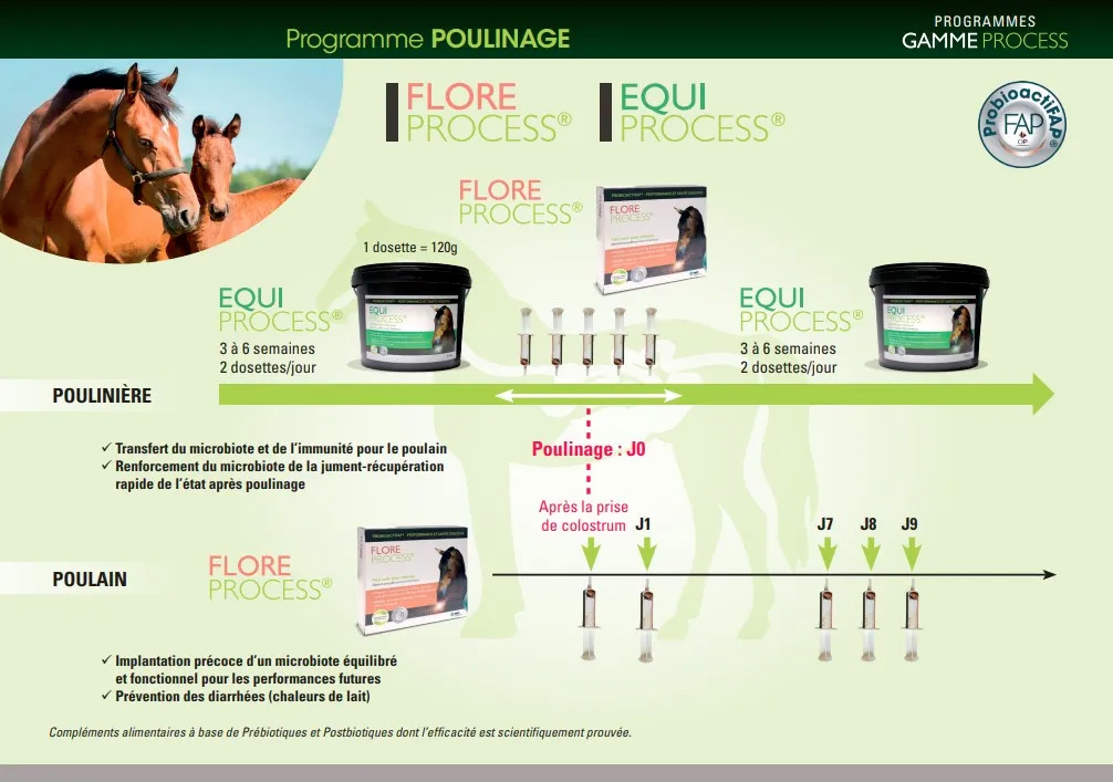 process-cheval-sante-poulain