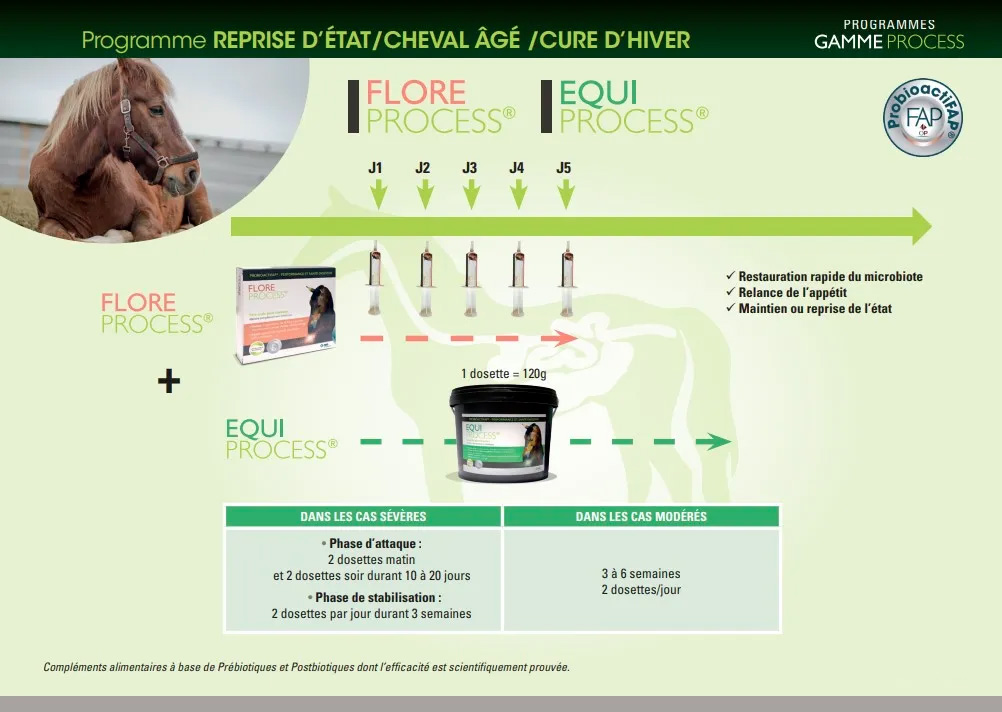 programme chevaux hiver